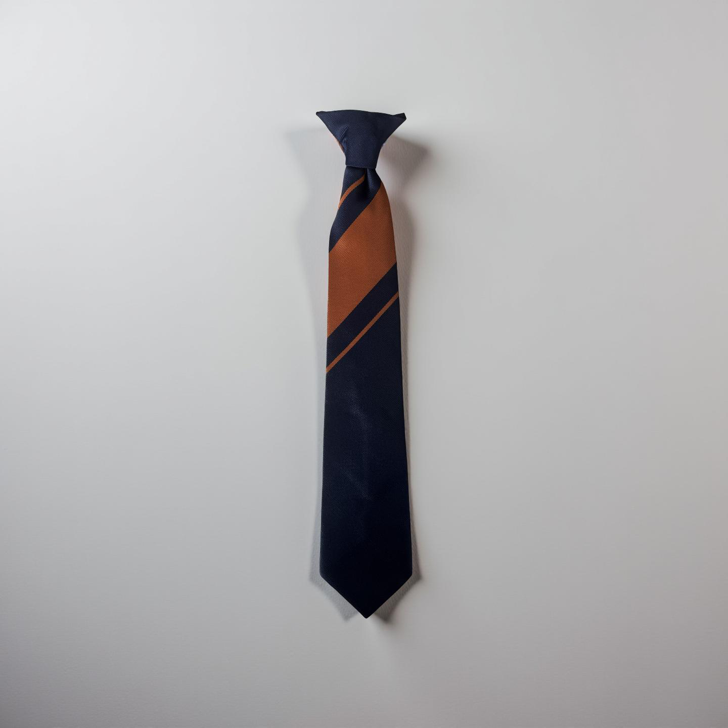 Thornhill Community Academy Orange Tie