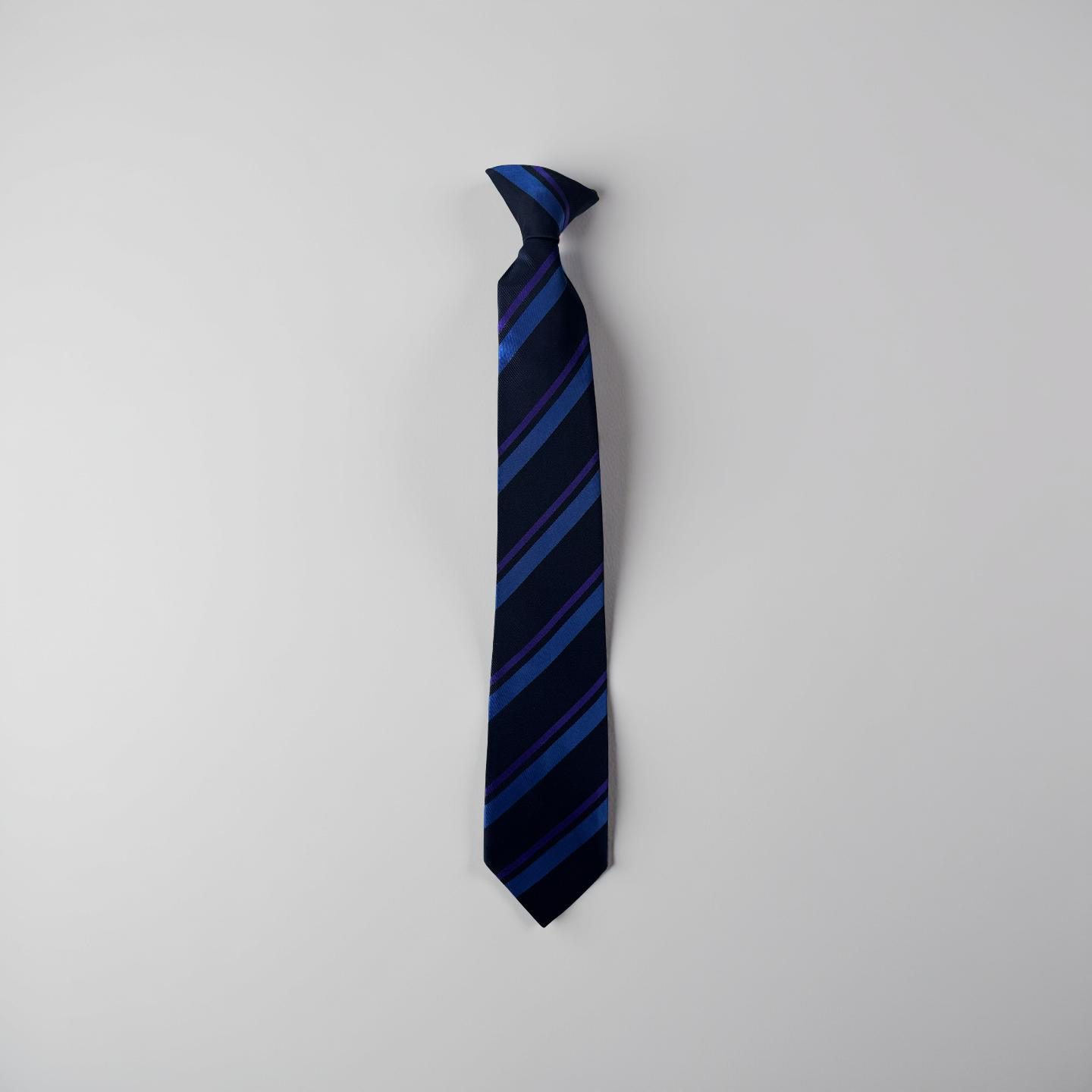 Westborough High School Year 7 Tie
