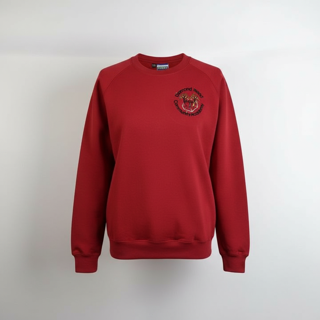 Diamond Wood Community Academy Sweatshirt