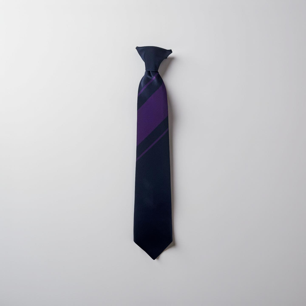 Thornhill Community Academy Purple Tie