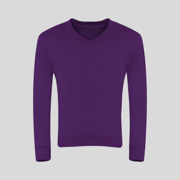Purple V-Neck Sweatshirt