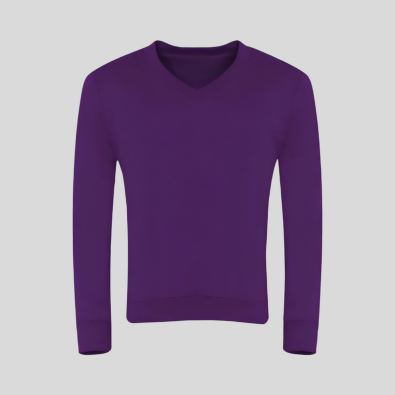 Purple V-Neck Sweatshirt