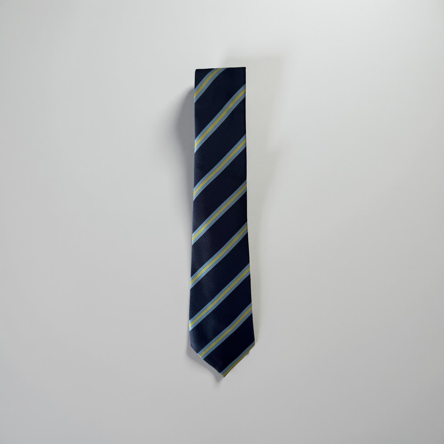 Bruntcliffe Academy Yellow Holmes Tie