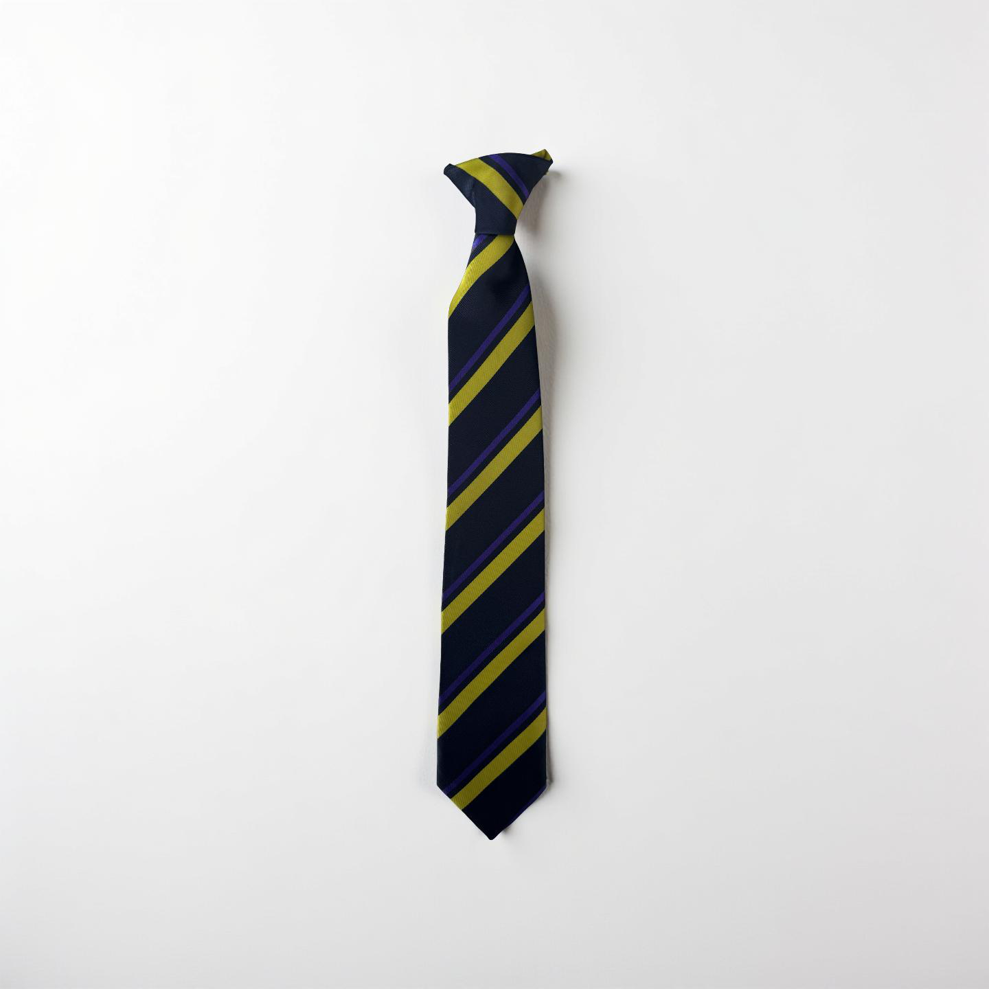Westborough High School Year 10 Tie