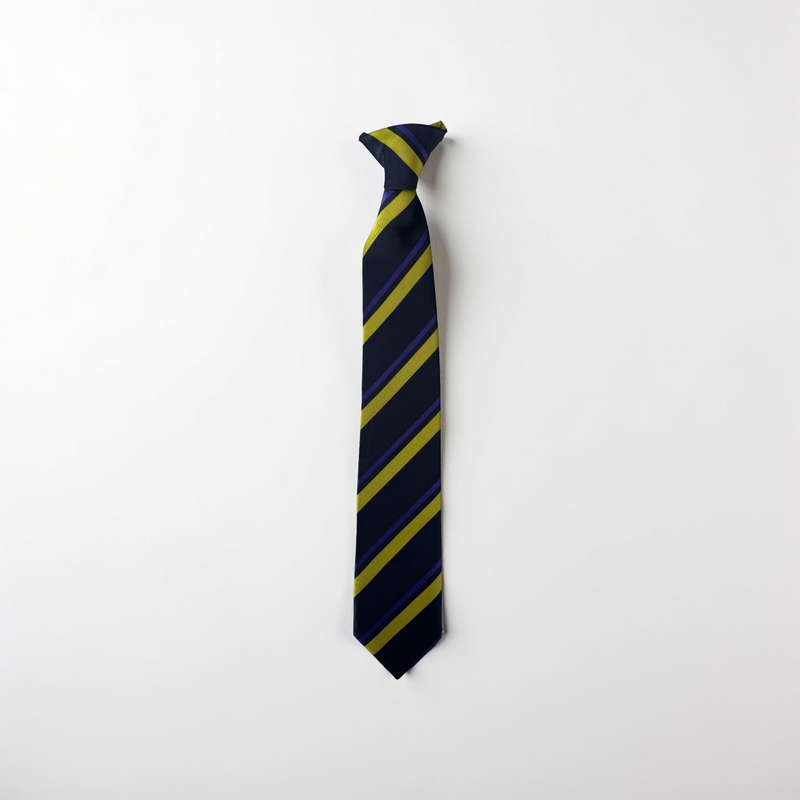 Westborough High School Year 10 Tie
