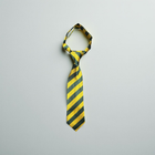 St Austins Catholic Primary School Tie