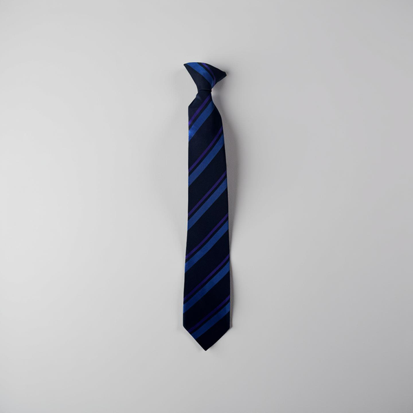 Westborough High School Year 7 Tie