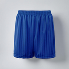Woodkirk Academy P.E Shorts
