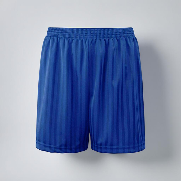 Woodkirk Academy P.E Shorts