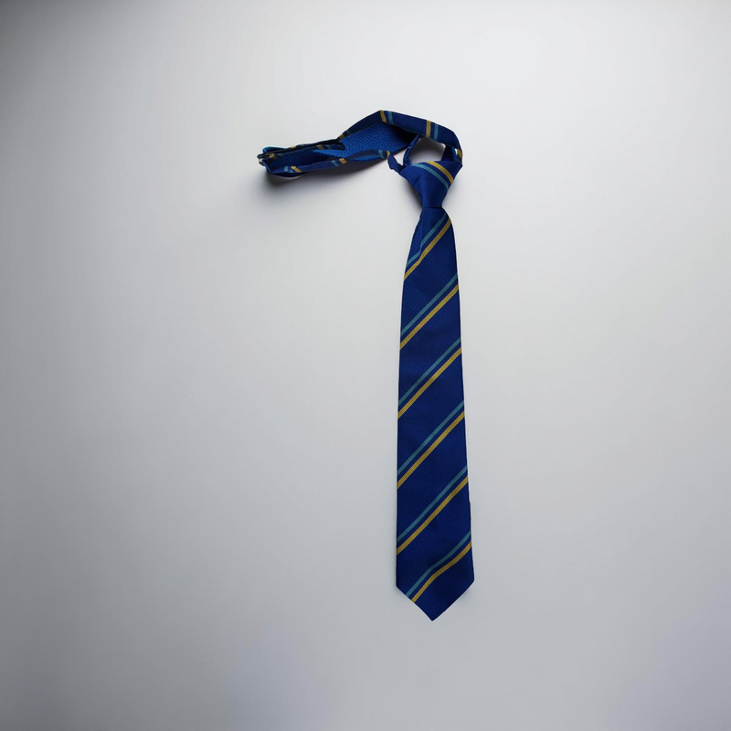 Woodkirk Academy Year 7 Tie