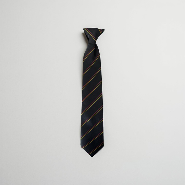 Batley Girls Tie