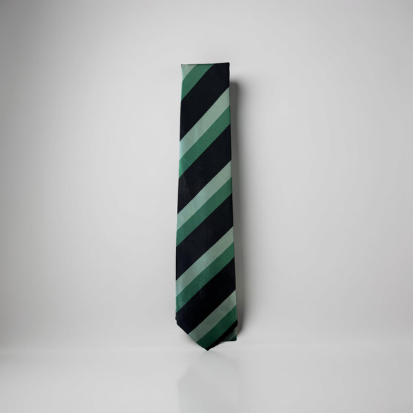 Upper Batley High School Year 8 Tie