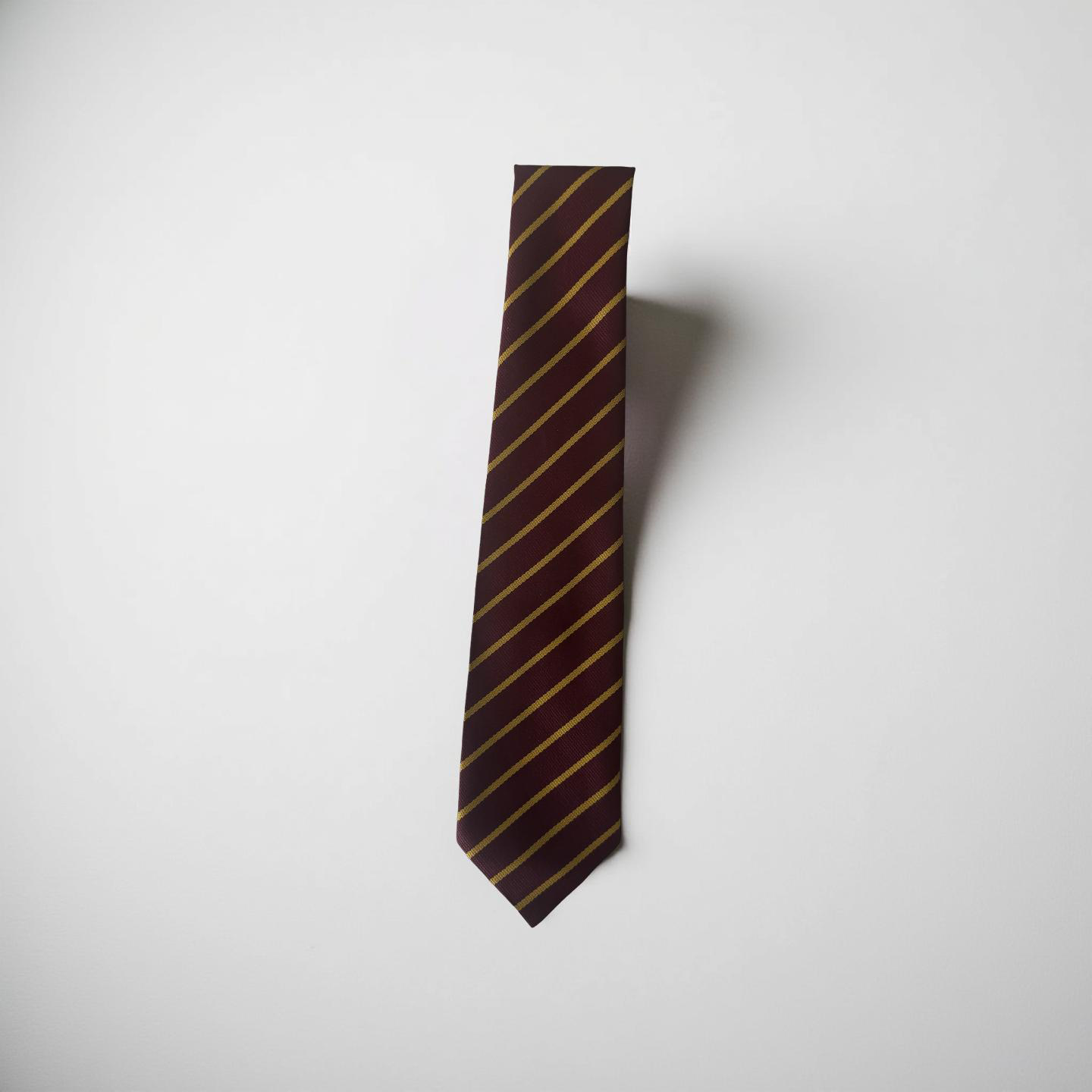 Holy Spirit Primary School Tie