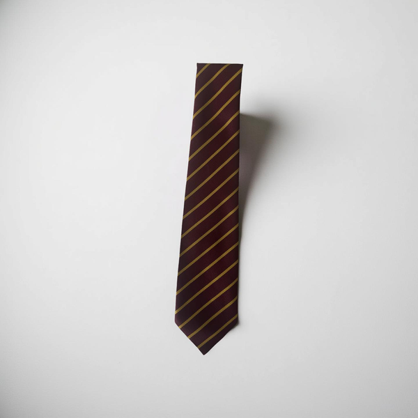 Holy Spirit Primary School Tie