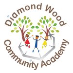 Diamond Wood Community Academy Big Bookbag