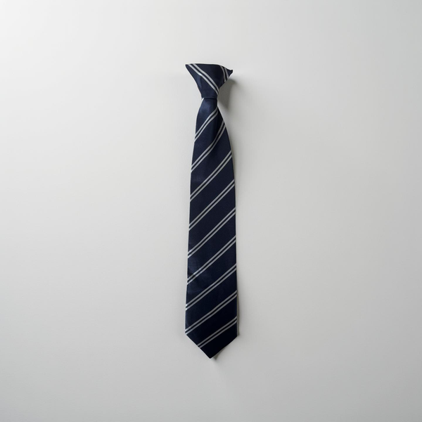 Castle Hall Academy Tie