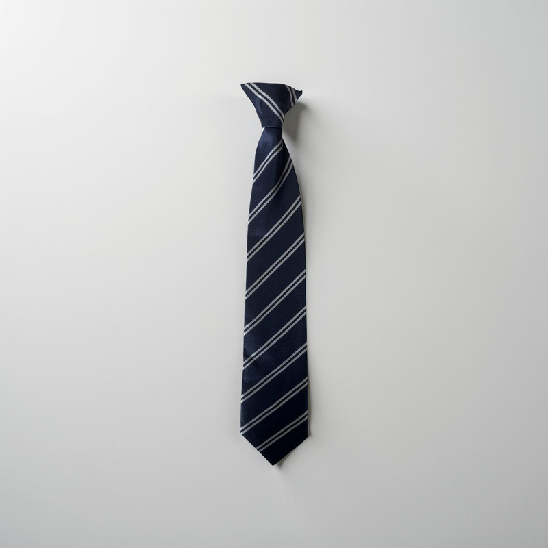 Castle Hall Academy Tie
