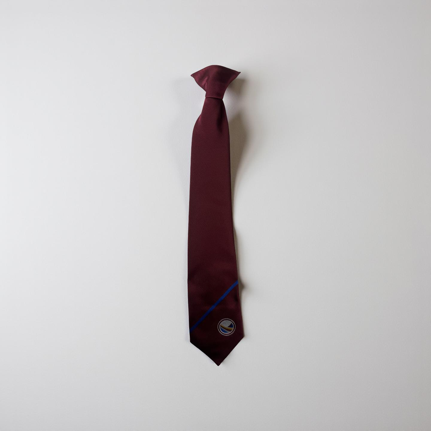 The Mirfield Free Grammar Year 9 Tie