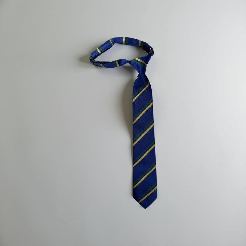 Woodkirk Academy Year 8 Tie