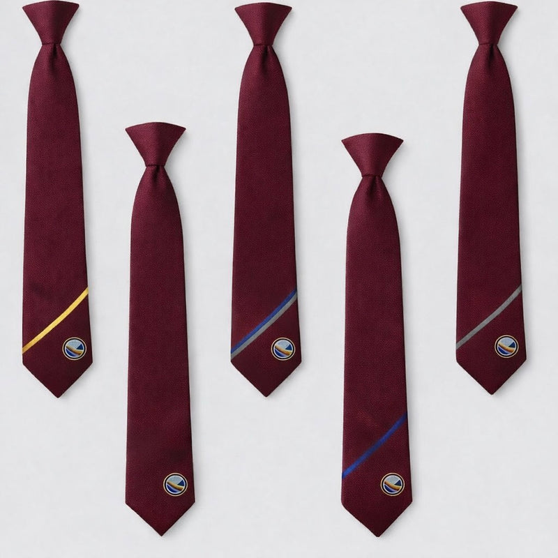 The Mirfield Free Grammar Tie (Pick What Year Group)