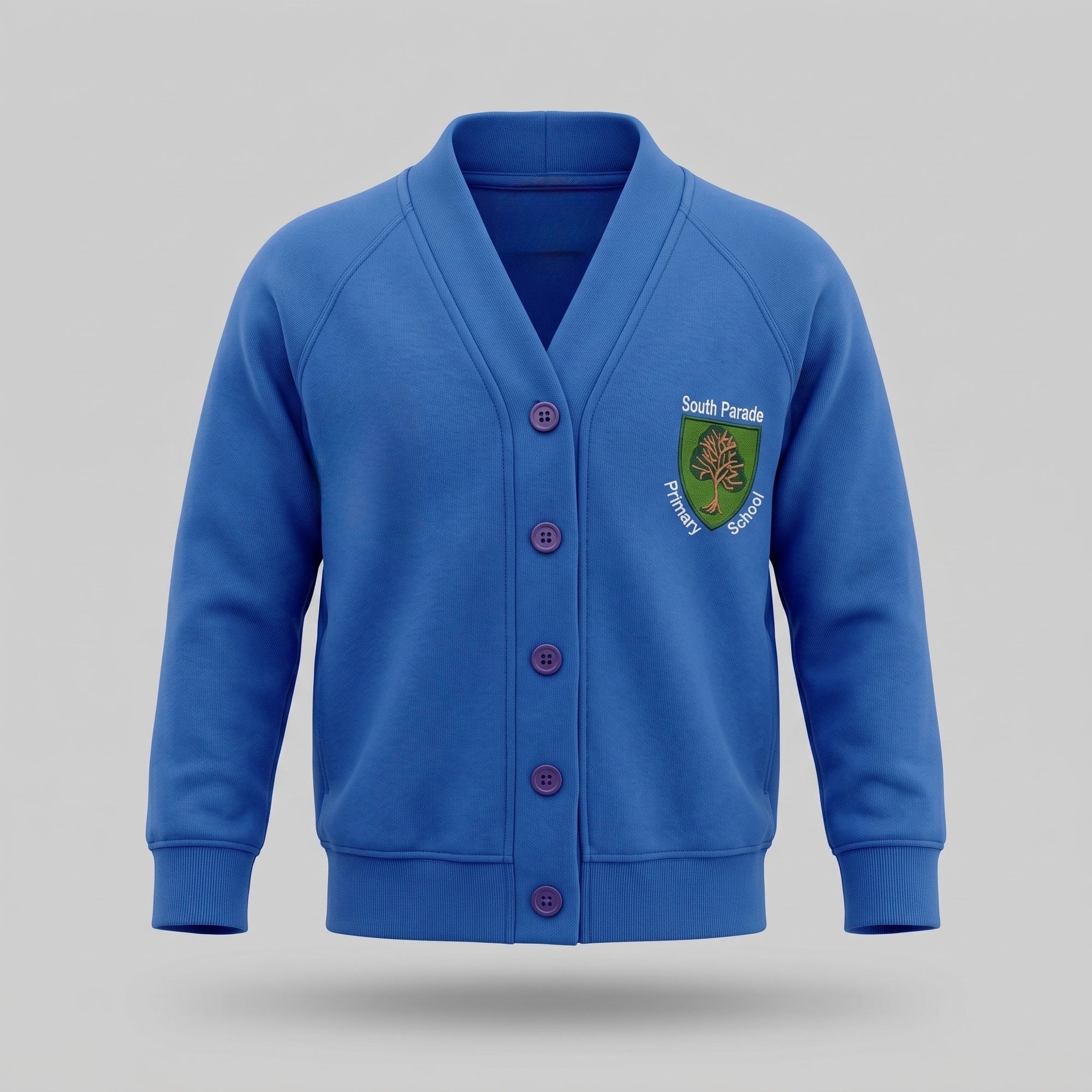 South Parade Primary School Cardigan