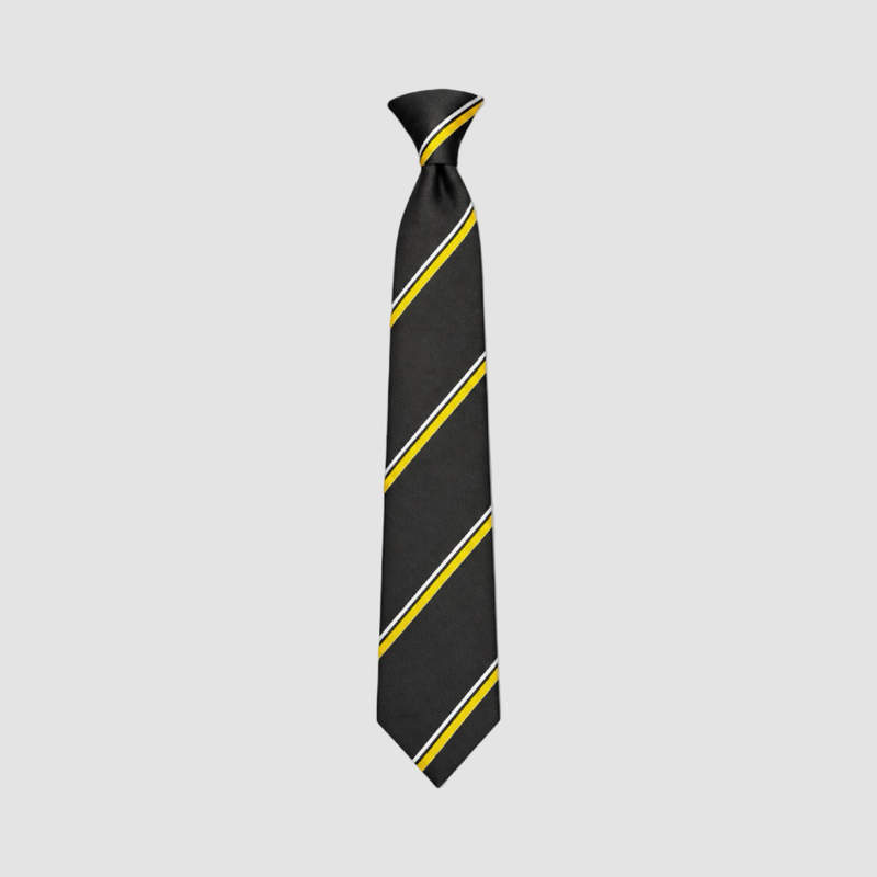 Horbury Academy Tie (Pick What Colour)