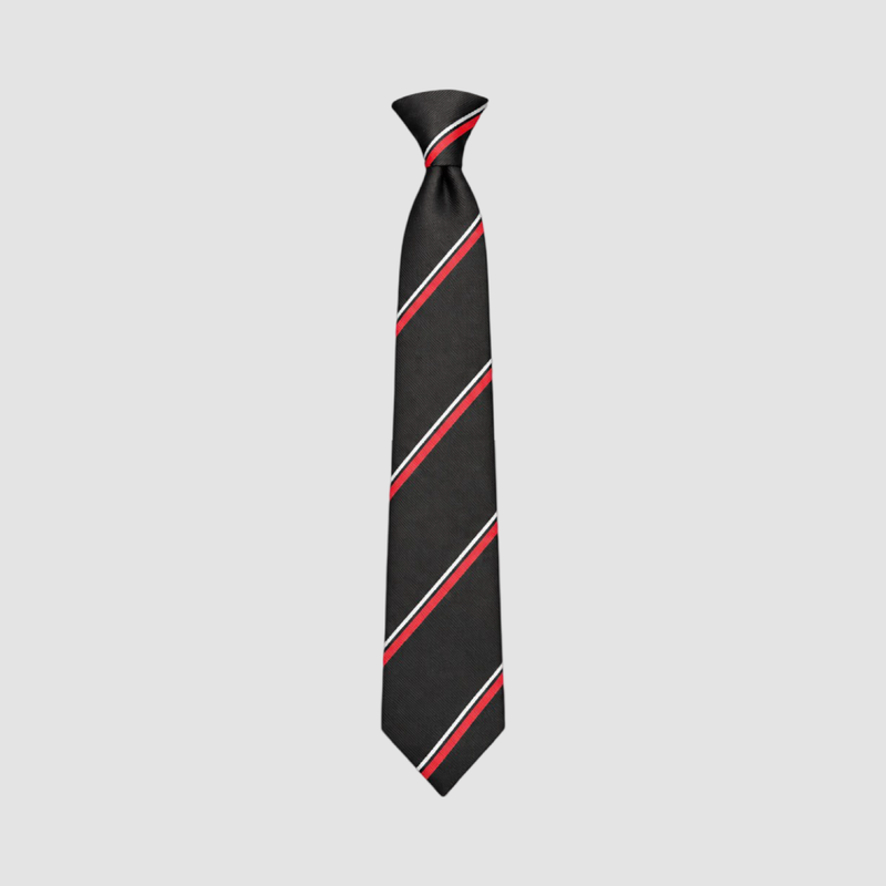 Horbury Academy Tie (Pick What Colour)