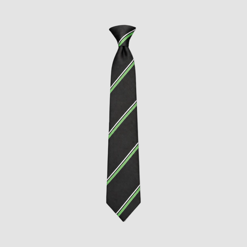 Horbury Academy Tie (Pick What Colour)