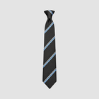 Horbury Academy Tie (Pick What Colour)