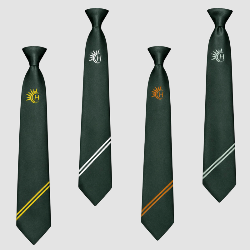 Horizon Community College Tie (Pick Year Group)