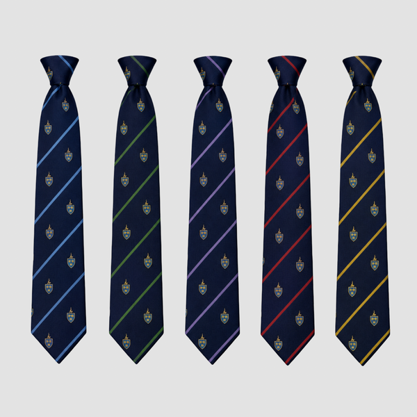 Batley Grammar School Tie (Pick What Year Group)