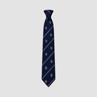 Batley Grammar School Tie (Pick What Year Group)