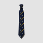 Batley Grammar School Tie (Pick What Year Group)