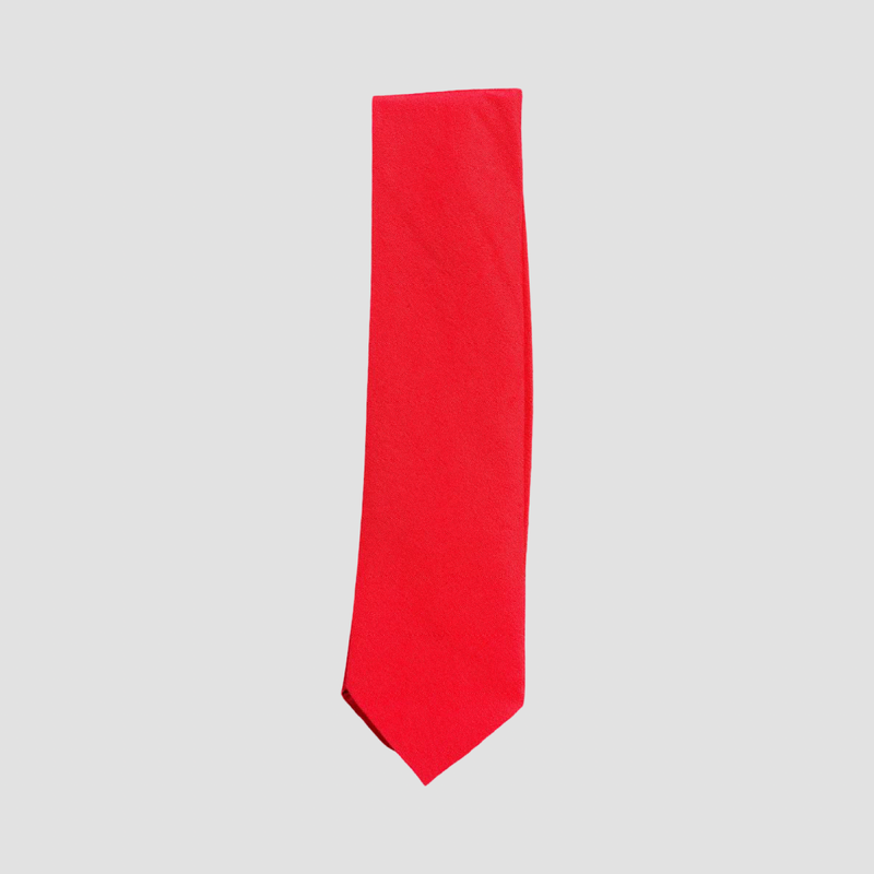 St Ignatius's Catholic Primary School Tie