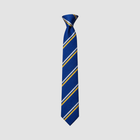 Woodkirk Academy Tie (Choose Year Group)