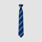 Woodkirk Academy Tie (Choose Year Group)