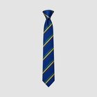 Woodkirk Academy Tie (Choose Year Group)