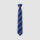 Woodkirk Academy Tie (Choose Year Group)