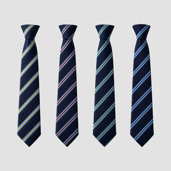 Bruntcliffe Academy Tie (Pick House Colour)