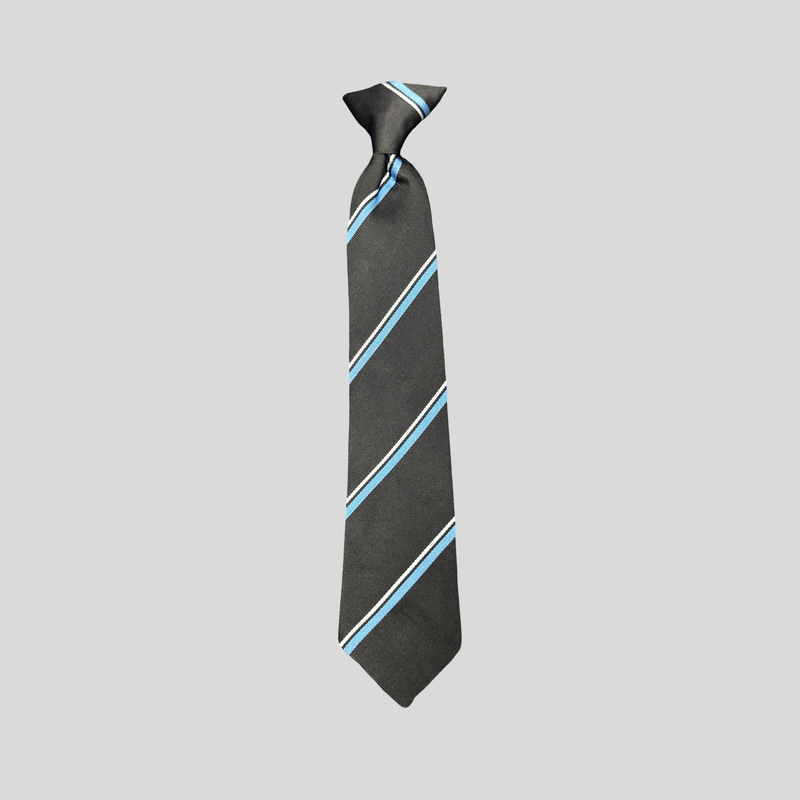 Horbury Academy Tie Blue
