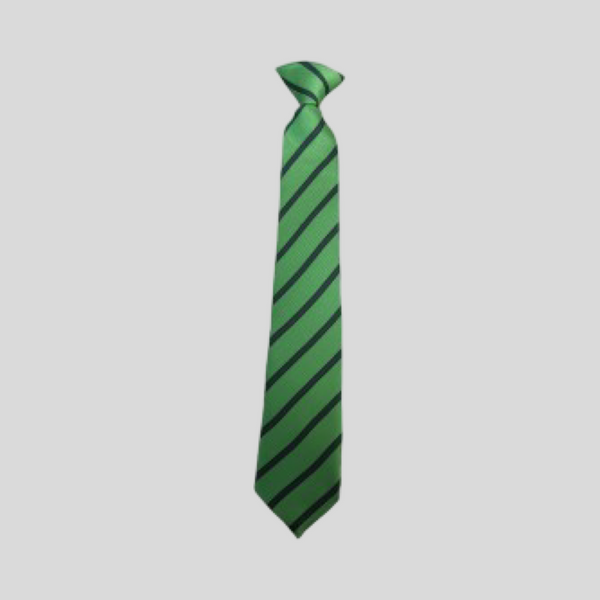 Astrea Academy Netherwood Tie Year 7,8 and 9