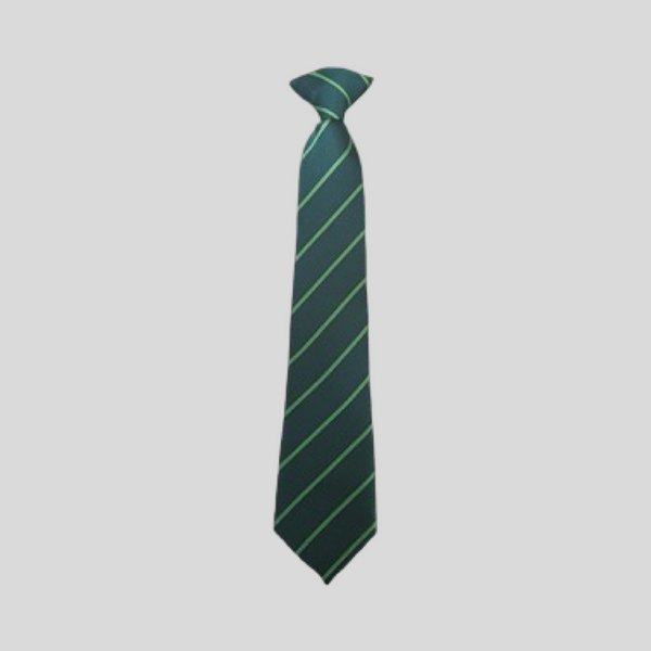 Astrea Academy Netherwood Tie Year 10,11