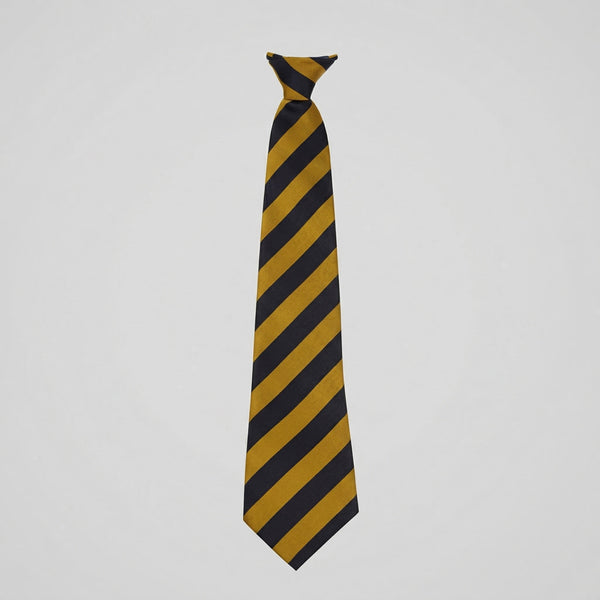 King James’ High School Tie