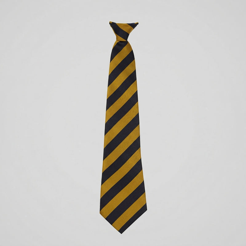 King James’ High School Tie