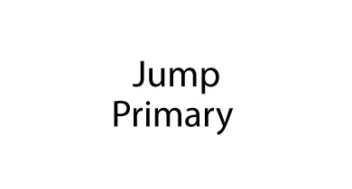 Sweatshirt Jump Primary