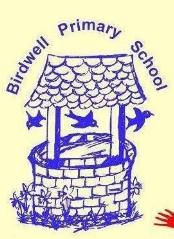 Sweatshirt Birdwell Primary